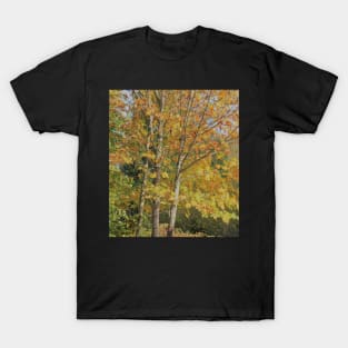 Maple Tree T-Shirt
